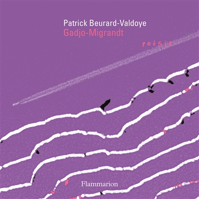 Cycle des exils. Vol. 6. Gadjo-Migrandt