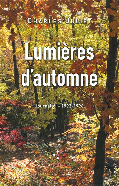 Journal. Vol. 6. Lumières d’automne : journal, 1993-1996