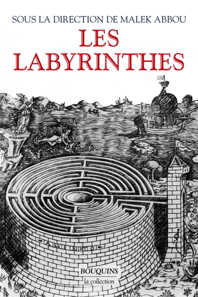 Les labyrinthes : vingt mille ans de métamorphoses