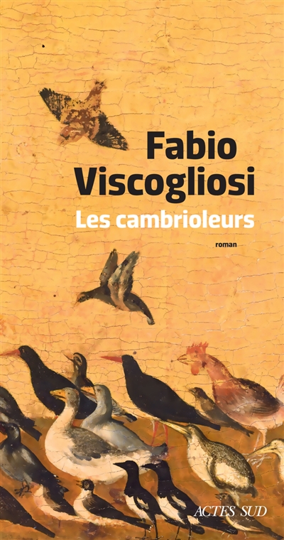 Les cambrioleurs