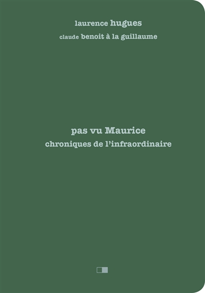Pas vu Maurice : chroniques de l’infraordinaire